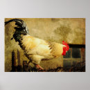 Recherche de vintage rooster posters Ferme