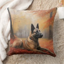 Recherche de malinois belges coussins Animal