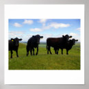 Search for cows art Blue