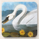 Search for john audubon coasters Wild bird