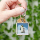 Recherche de penguin porteclés Antarctica