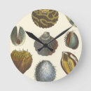 Search for clam shell art Seashell