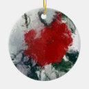 Search for red rose ornaments Flower