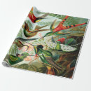 Recherche de haeckel papier cadeau Vintage