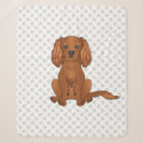 Search for ruby cavalier king charles spaniel Animal