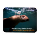 Recherche de sous le de mer magnets Toute personne