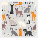 Search for cat paw print stickers Cats