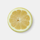 Recherche de jaune citron magnets Nourriture