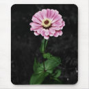 Search for impression mousepads Nature