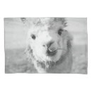 Search for fluffy pillowcases Children