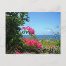 Search for cnmi Guam