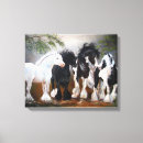 Search for vanner art Horse