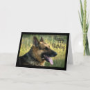 Search for black german shepherd cards Puppies