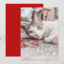 Recherche de funny dog christmas cards Vacances