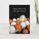 Search for egg shell postcards Chick