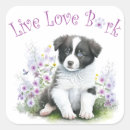 Search for border collie stickers Cute