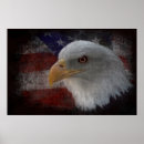 Search for american eagle posters United states