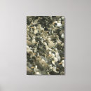Search for variation canvas prints Outdoors