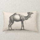 Recherche de camel pillows Chameau