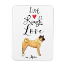 Search for akitas magnets Akita inu