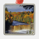 Search for michigan ornaments River