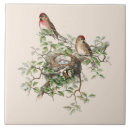 Search for bird nest tiles Nature