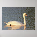 Recherche de oiseau de b posters Pour tous