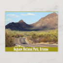 Recherche de saguaro cartes postales Désert