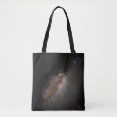 Search for minor bags Astronomy