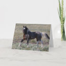 Search for ken cards Farm