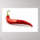 Search for chili posters Spices