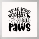 Search for paws posters Cute