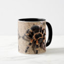 Search for tarantula mugs Nature