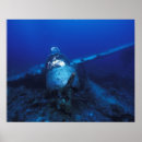 Search for micronesia posters Palau