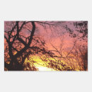 Search for bare tree stickers Sunset