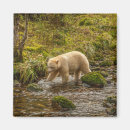 Search for danita delimont magnets Hunting
