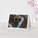 Search for shellfish cards Seafood
