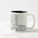Search for cook islands mugs South