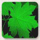Search for oak leaves coasters Leaf