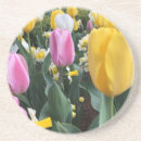 Search for easter coasters Bright
