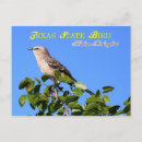 Search for mockingbird postcards Texas