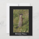 Recherche de marmotte invitations Nature