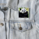 Search for panda square buttons Animals