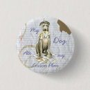 Search for lesson buttons Teacher