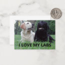 Search for funny animals note cards Pet