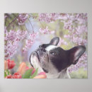 Recherche de décor de chien posters Terrier