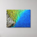 Search for peacock feather canvas prints Colourful