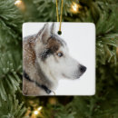 Search for siberian husky ornaments Snow