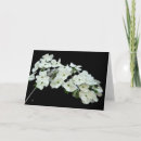 Search for blank floral cards White