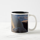 Search for nwr mugs Public land